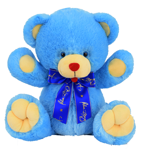 blue magic teddy bear delivery