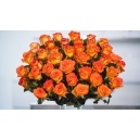 48 orange roses to philippines