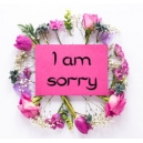 I am Sorry Flower Gift To Philippines