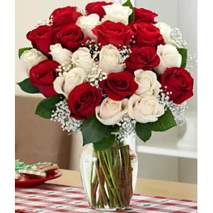 12 Red and 12 White Roses in Vase