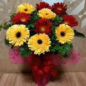 send gerbera to philippines