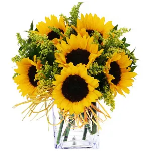 Online 6 Pieces Sunflower Vase to Philippines