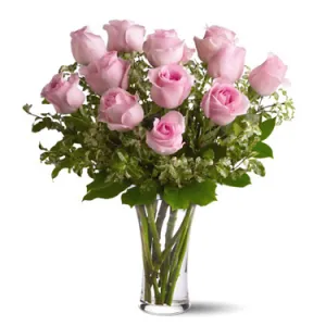 12 Pink Roses in Vase