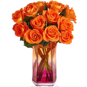 12 Orange Roses in Vase