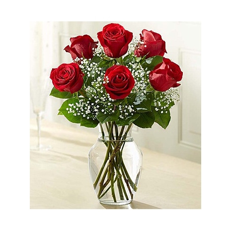 6 Premium Long Stem Red Roses