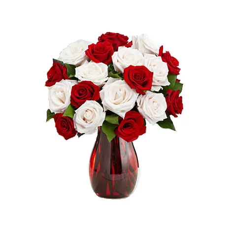 9 Red & 9 White Roses in Vase