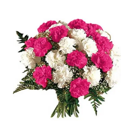 24 White and Pink Carnation Hand Bouquet