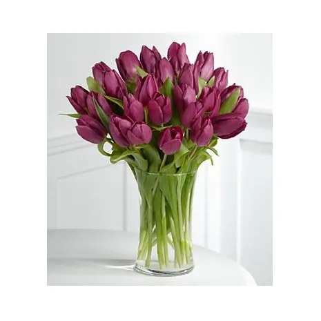 12 Purple Tulips with Free Vase