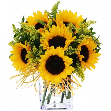 Online 6 Pieces Sunflower Vase to Philippines