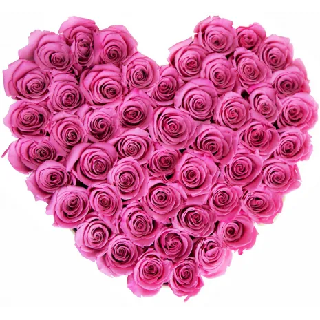 heart shaped 40 pieces pink rose to philippines