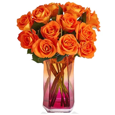 12 Orange Roses in Vase