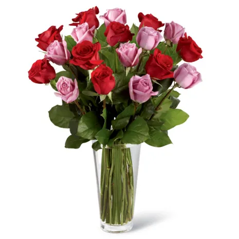 12 Red & 12 Purple Roses in Vase