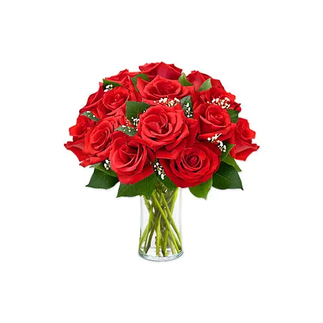 12 Red Roses in Vase