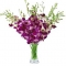 12 Purple Orchids with Free Vase