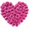 heart shaped 40 pieces pink rose to philippines