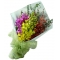 12 Mixed Color Orchids in a Bouquet