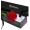 Send Single Red Rose in Box to Philippines